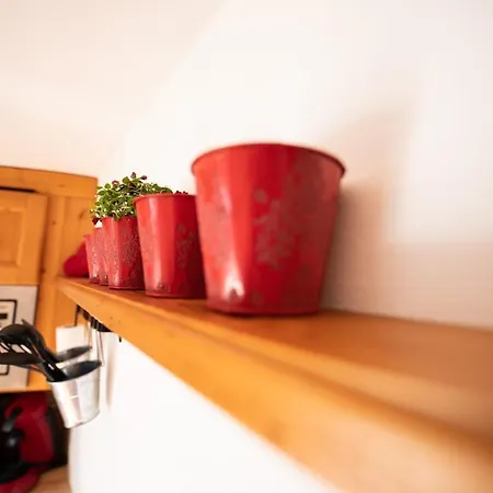 Almstueberl דירה